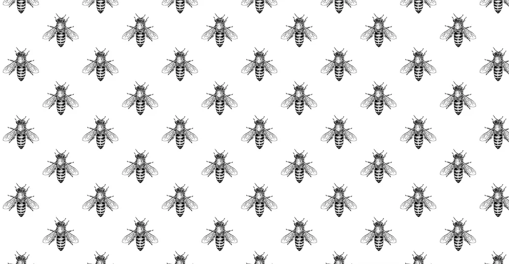wrapping paper pattern