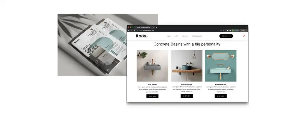 web & catalog