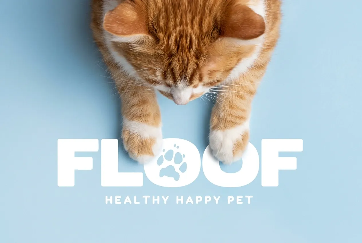 FLOOF