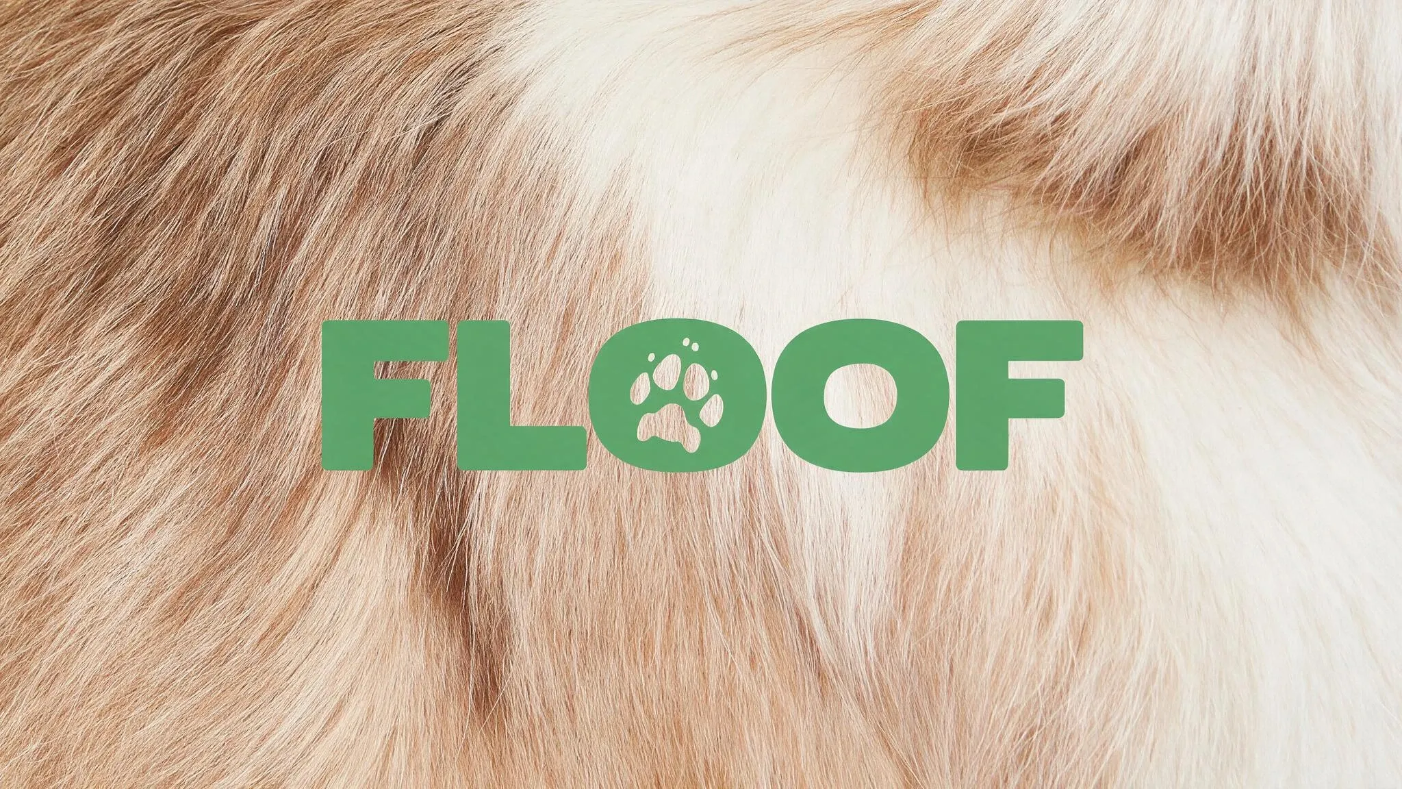 FLOOF