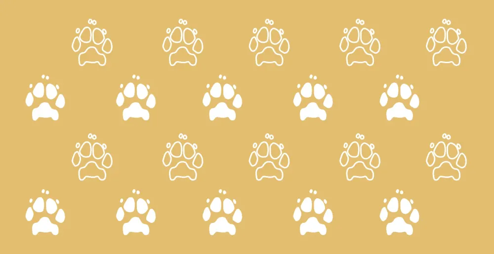 Paw Pattern 