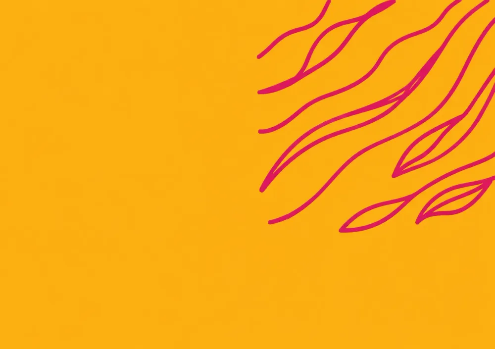 yellow le pavot elements branding marra 