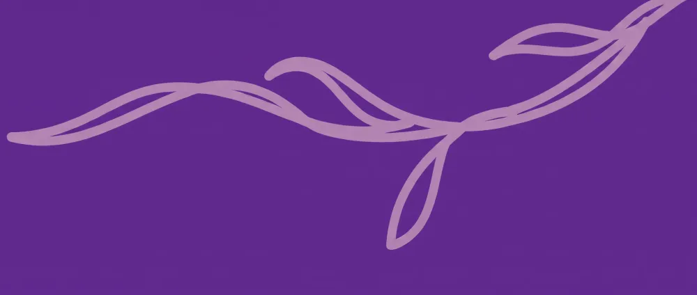 purple le pavot elements branding marra 