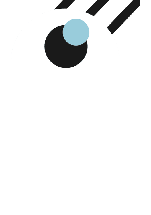 What they See